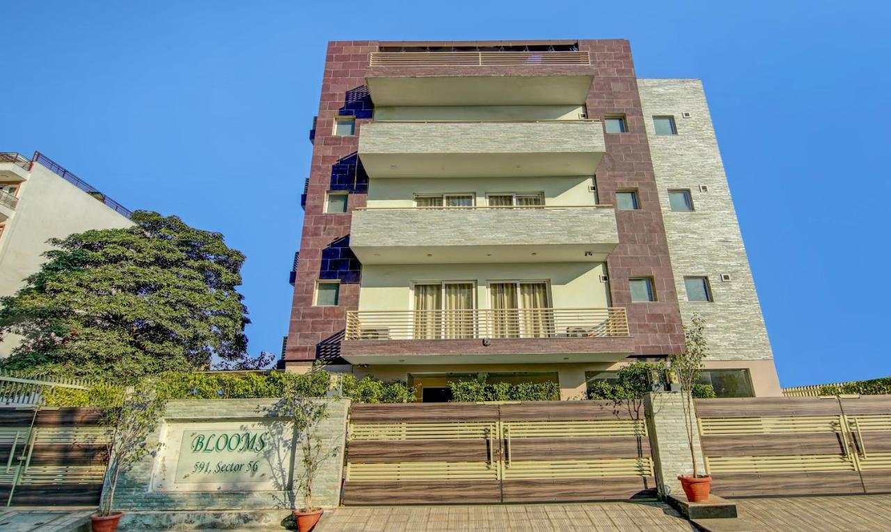 Hotel Treebo Trend Blooms Premium Gurgaon Exterior foto